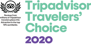 Tripadvisor Travelers' Choice 2020 Tripadvisor Travelers' Choice 2020